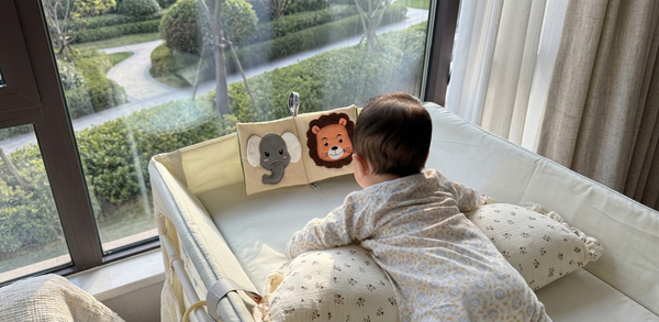 Bebés (0 - 12 meses)